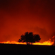 The kids examined survived the Black Saturday wildfires of 2009 in Australia.